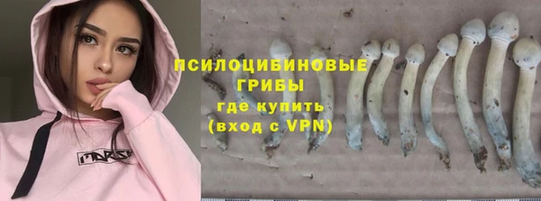 прущие крисы Алексеевка