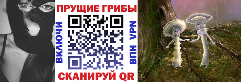 Галлюциногенные грибы Cubensis  закладка  Камешково 