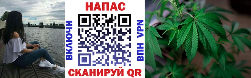 Конопля конопля Камешково